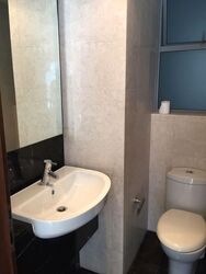 Residences @ Evelyn (D11), Condominium #559815361